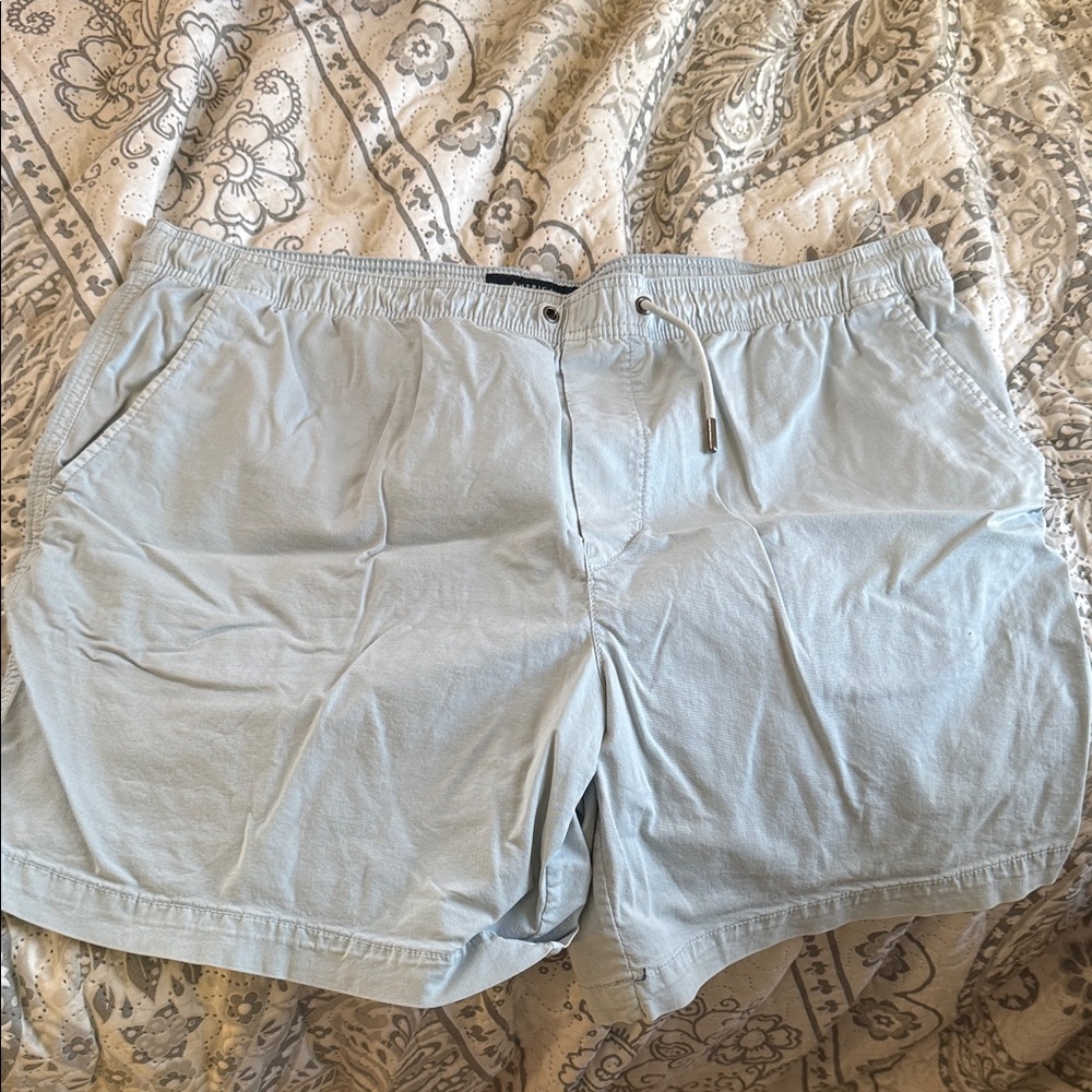 American Eagle Outfitters Light Blue Men's Flat Front Shorts